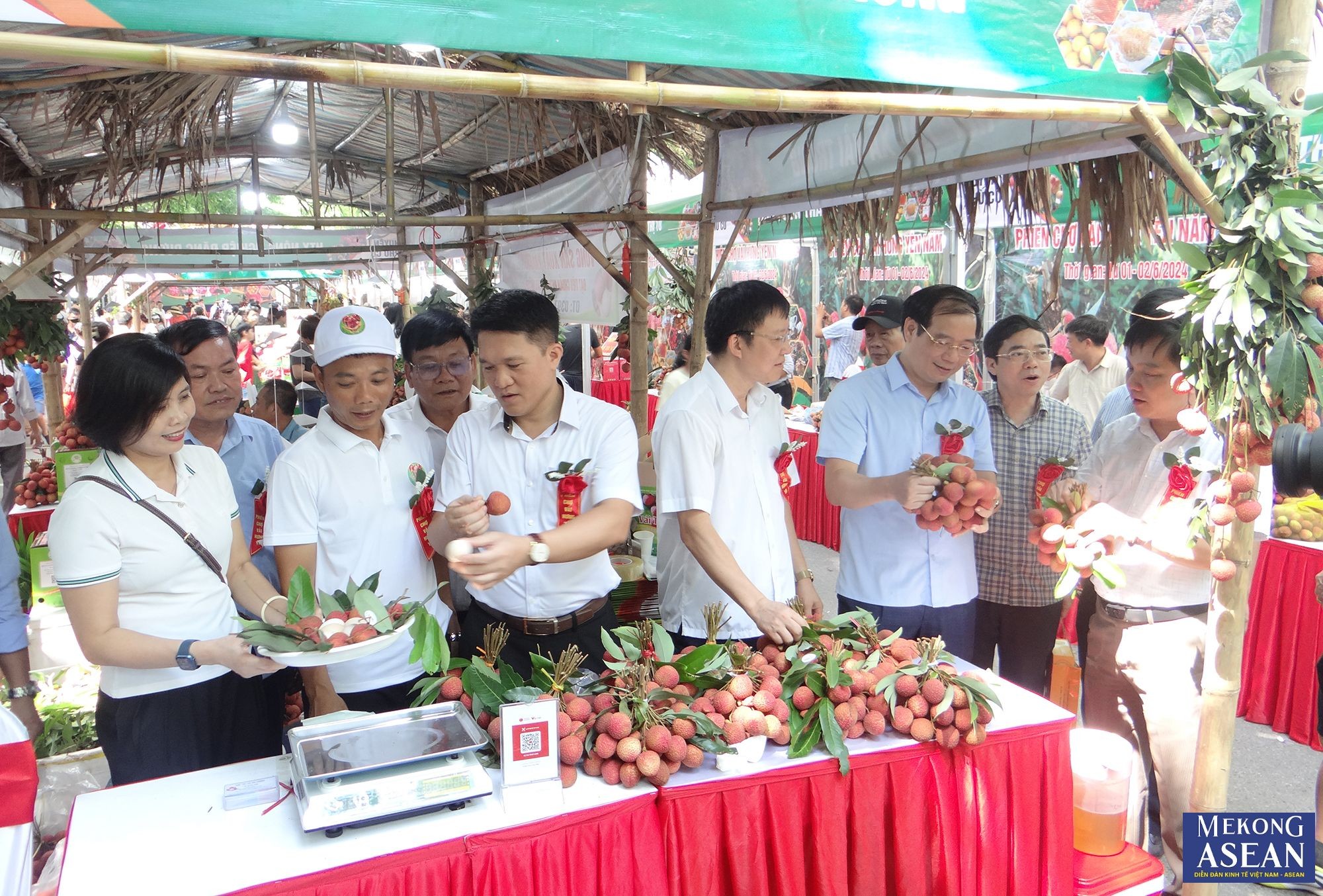 Chất lượng quả vải năm nay của Hưng Yên được đánh giá nổi trội hơn những năm trước.