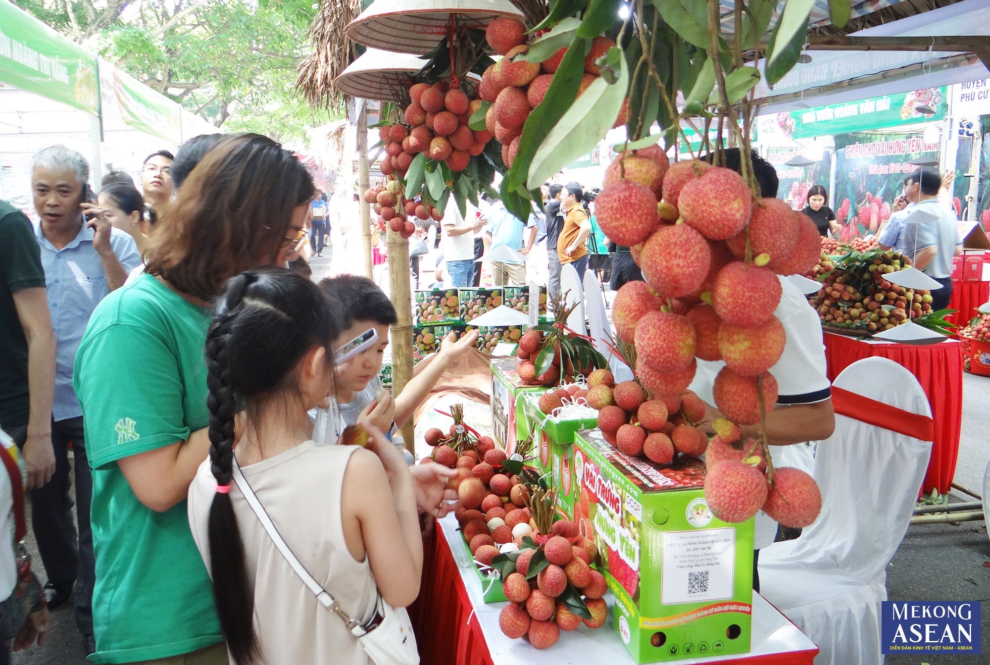 Vải trứng Hưng Yên và vải lai chín sớm Phù Cừ đã được Cục Sở hữu trí tuệ công nhận nhãn hiệu chứng nhận.