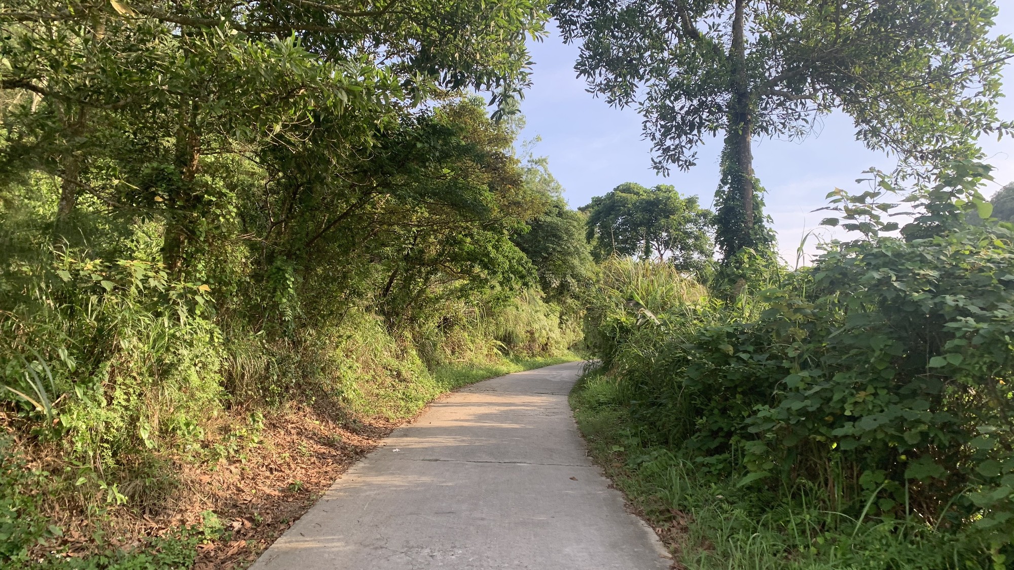 Đường đi đến các bãi tắm chưa được mở rộng, tuy nhiên du khách có thể đi bằng xe điện hoặc tự lái xe máy, mỗi bãi tắm cách nhau khoảng 5-6km. Giá thuê xe điện từ 900.000 đến 1,2 triệu đồng, phù hợp với gia đình có trẻ nhỏ. Đối với những người thích đổ đèo, mạo hiểm hơn có thể thuê xe máy với giá từ 150.000 đến 200.000 đồng/ ngày. Đường đi đến các bãi tắm chưa được mở rộng, tuy nhiên du khách có thể đi bằng xe điện hoặc tự lái xe máy, mỗi bãi tắm cách nhau khoảng 5-6km. Giá thuê xe điện từ 900.000 đến 1,2 triệu đồng, phù hợp với gia đình có trẻ nhỏ. Đối với những người thích đổ đèo, mạo hiểm hơn có thể thuê xe máy với giá từ 150.000 đến 200.000 đồng/ ngày.