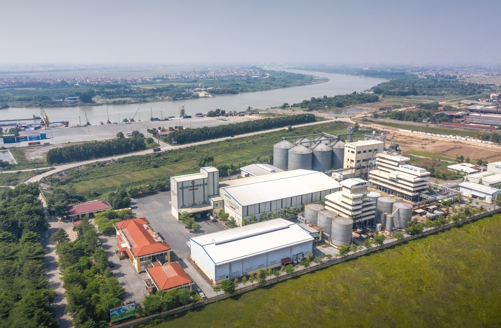 Lợi nhuận Dabaco xuống thấp nhất trong 6 quý