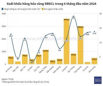 ĐBSCL xuất siêu 6,6 tỷ USD hàng hóa trong nửa đầu năm 2024