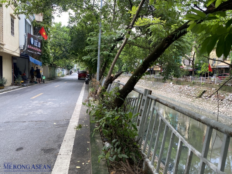 Hàng lan can bị nghiêng đổ do cây. Ảnh: Hà Anh/Mekong ASEAN.