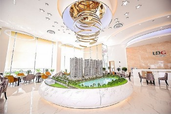 Cổ phiếu tăng hơn 200%, LDG kinh doanh ra sao?