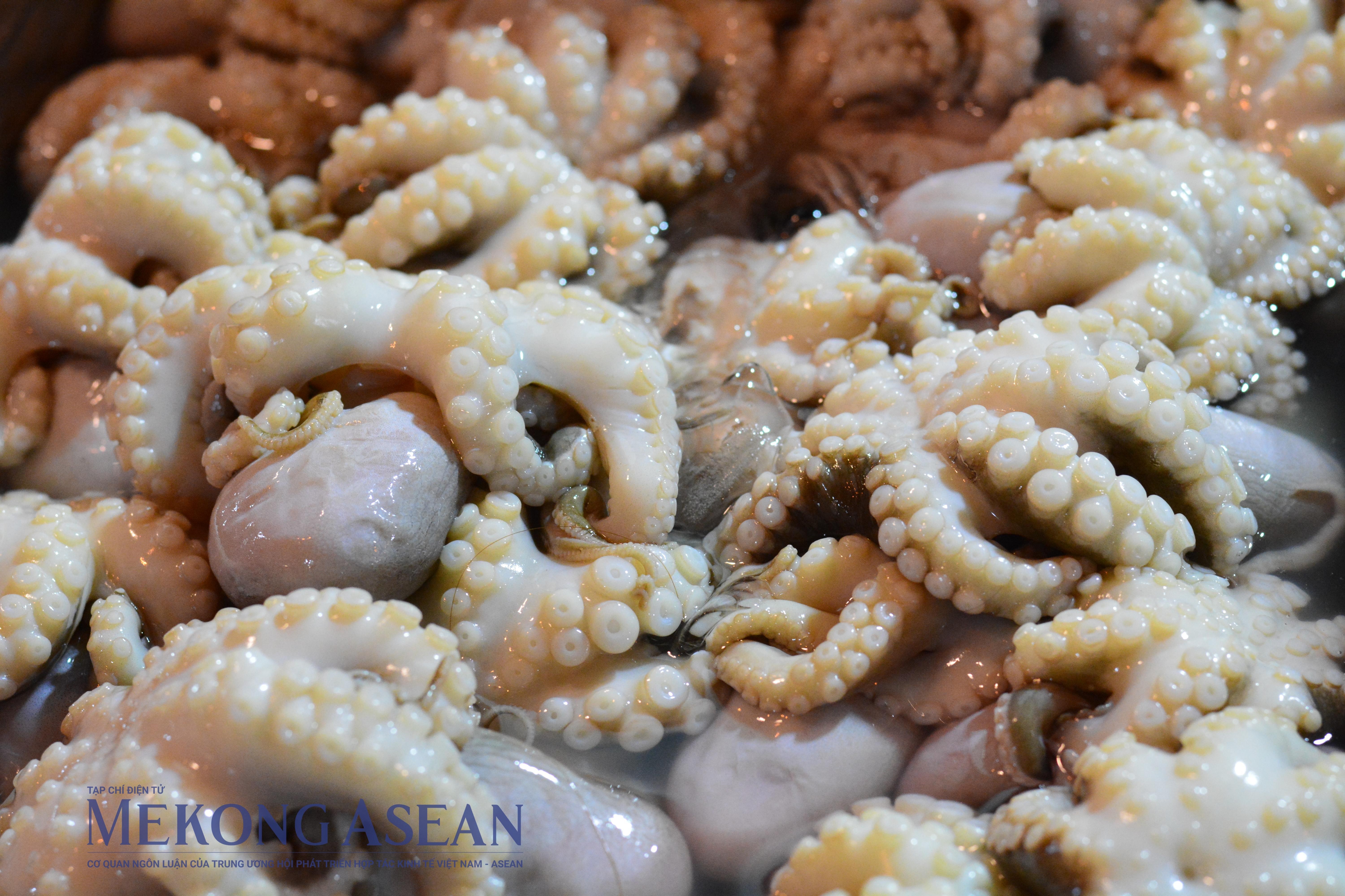 Việt Nam là nguồn cung bạch tuộc, mực lớn thứ 2 của Hàn Quốc