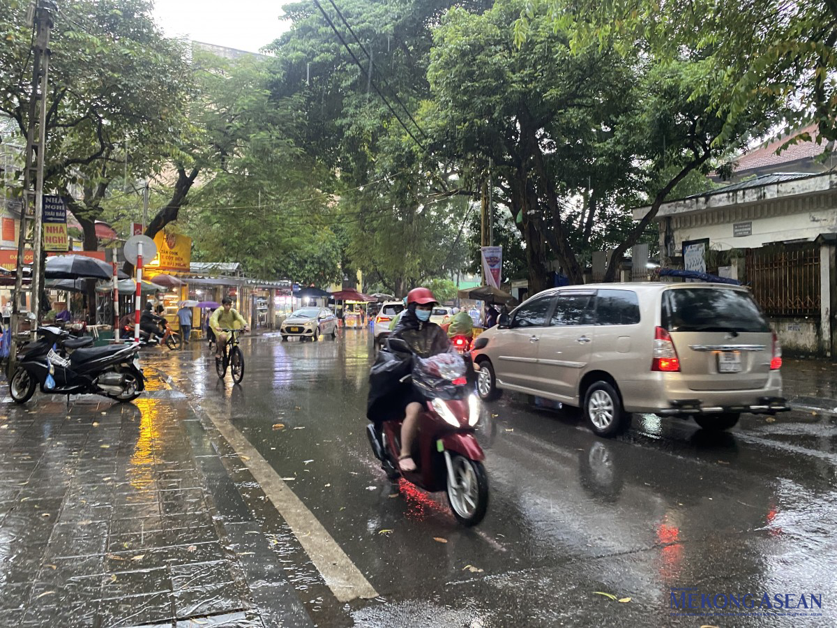 Lo sợ về những cây xanh chết khô, nghiêng đổ trên đường phố Hà Nội, chị Thùy Tiên (30 tuổi, trú tại phường Phạm Đình Hổ, quận Hai Bà Trưng, Hà Nội) cho biết: “Đang mùa mưa bão nên việc những hàng cây như thế này nếu không được quan tâm xử lý thì sẽ dễ xảy