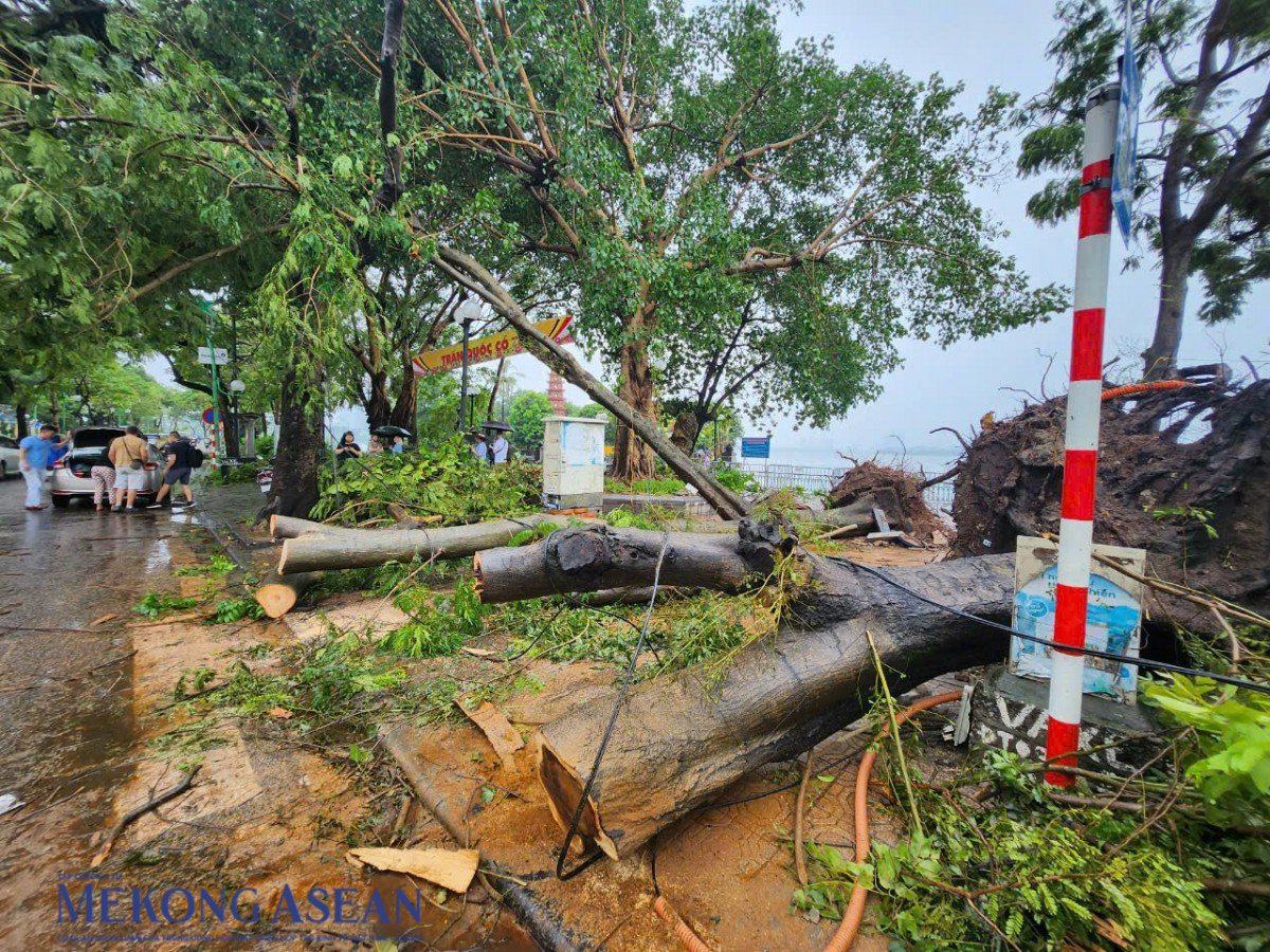 ASEAN sẵn sàng đóng góp cho các nỗ lực cứu trợ sau bão Yagi