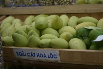 Ngành rau quả hướng tới kim ngạch 10 tỷ USD xuất khẩu năm 2026