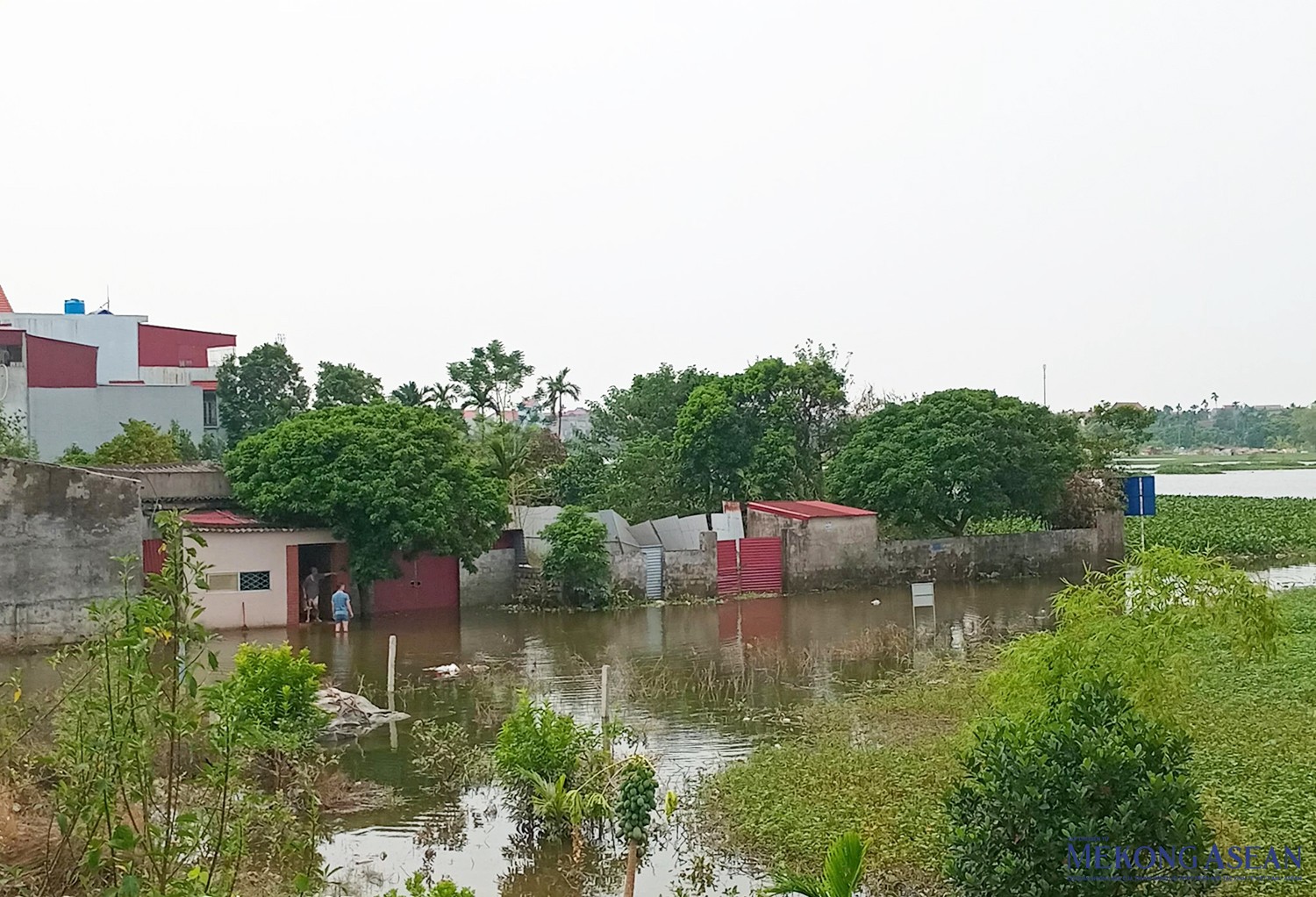 Nhà cửa, vườn tược của một số hộ dân ven đê ở phường Hồng Châu (thành phố Hưng Yên) vẫn còn bị ngập úng. Ảnh chụp sáng 16/9.