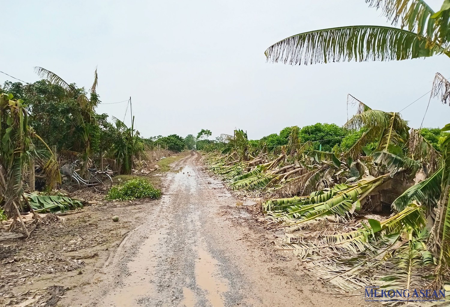 Hình ảnh một trong số tuyến đường nội đồng tại xã Quảng Châu, thành phố Hưng Yên. Ảnh chụp trưa 16/9.