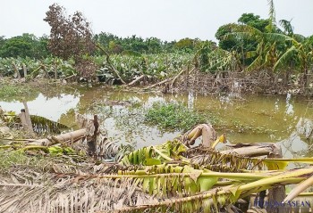 Thành phố Hưng Yên ước thiệt hại sau bão lũ gần 450 tỷ đồng