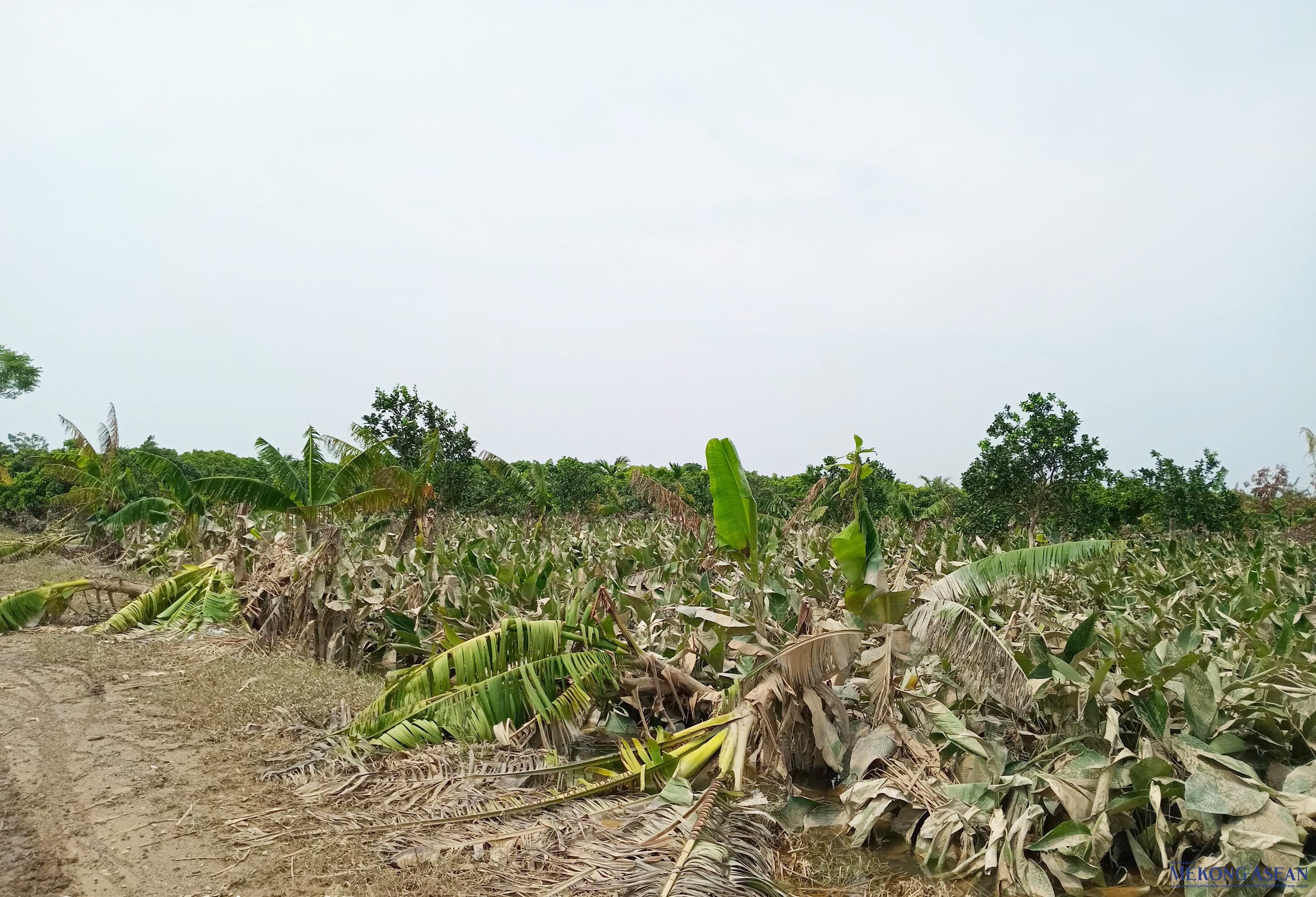 Ngành ngân hàng năm 2024: Góp động lực vào sự phát triển kinh tế đất nước Ngành ngân hàng năm 2024: Góp động lực vào sự phát triển kinh tế đất nước