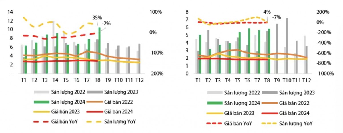 Giá trị xuất khẩu cá tra của Vĩnh Hoàn và Nam Việt tăng trưởng trái chiều