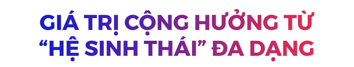 Những bước đi vững chắc trong chiến lược dài hơi của MB