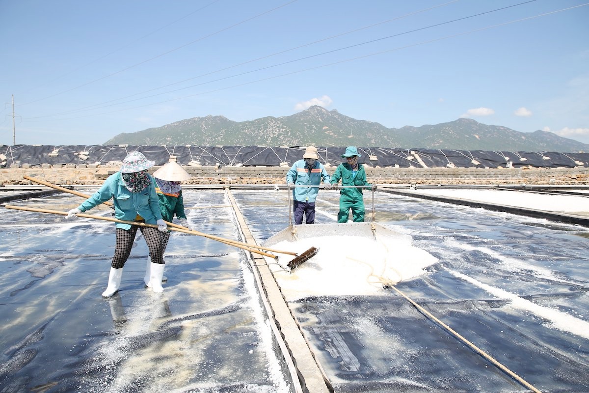 20 hệ sinh thái doanh nghiệp – chân dung điển hình