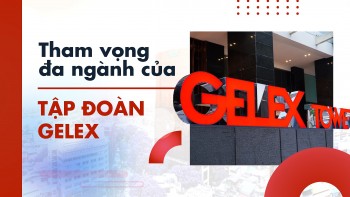 Tham vọng đa ngành của Tập đoàn Gelex