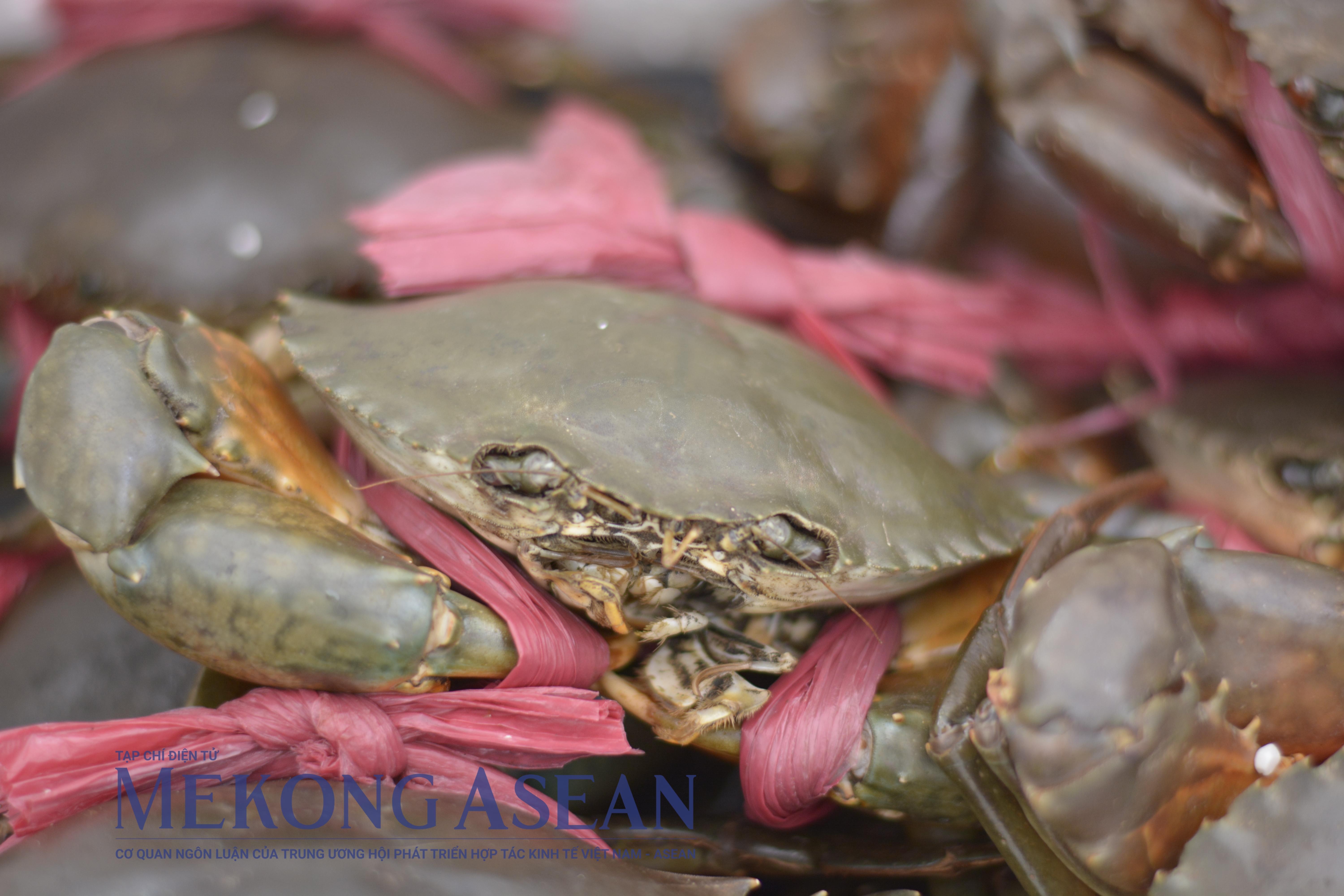 Trung Quốc trở thành thị trường xuất khẩu thủy sản lớn nhất của Việt Nam