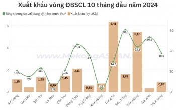 ĐBSCL xuất siêu 12,1 tỷ USD trong 10 tháng