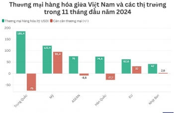 Việt Nam nhập siêu gần 9 tỷ USD hàng hóa từ ASEAN