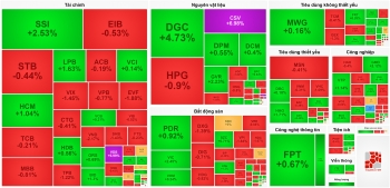 VN-Index chinh phục ngưỡng 1.270 bất chấp ‘quả tạ’ VN30