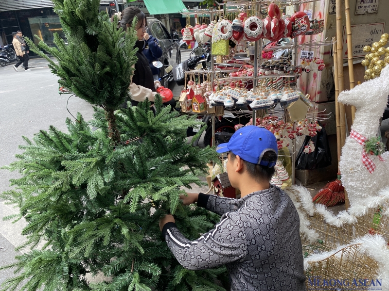 So với cây thông giả hay các dòng thông tươi nguyên cây, cành thông tươi có giá rẻ  Ảnh: Hà Anh/Mekong ASEAN.