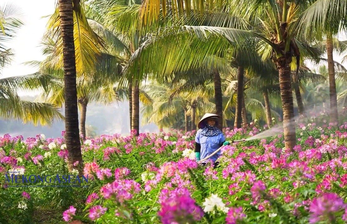 Những nghị quyết, chính sách ban hành tại kỳ họp này sẽ mở ra nhiều cơ hội, tạo động lực và là nền tảng để đưa Hải Dương bước vào giai đoạn phát triển mới 2026 - 2030. Ảnh minh họa.