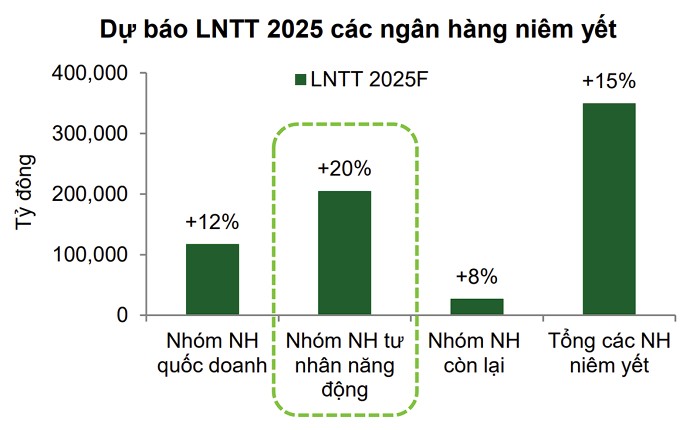 VCBS: Lợi nhuận nhóm ngân hàng tư nhân năng động có thể tăng tới 20% năm 2025