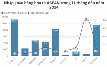 Việt Nam chi hơn 42 tỷ USD để nhập khẩu hàng hóa từ ASEAN