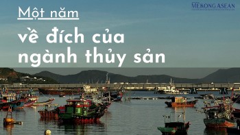 Một năm về đích của ngành thủy sản