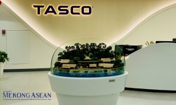 Tasco lãi đột biến nhờ doanh thu tài chính