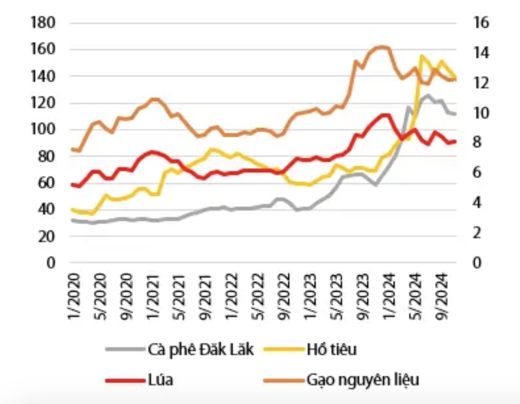 Biên lợi nhuận gộp ngành phân bón dự kiến tăng trong năm 2025