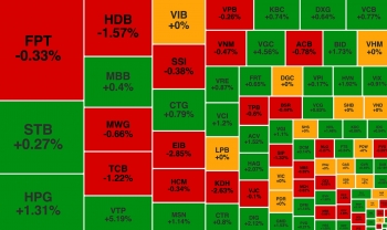 VN-Index mở màn năm mới trong sắc xanh, HNG tăng trần sau tin tích cực