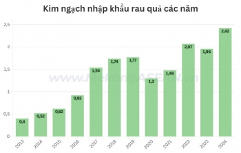 Nhập khẩu rau quả lần đầu cán mốc 2,4 tỷ USD