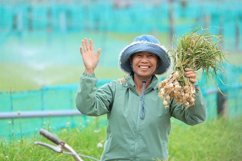 Nam Ngư đồng hành cùng bà con Lý Sơn quảng bá đặc sản