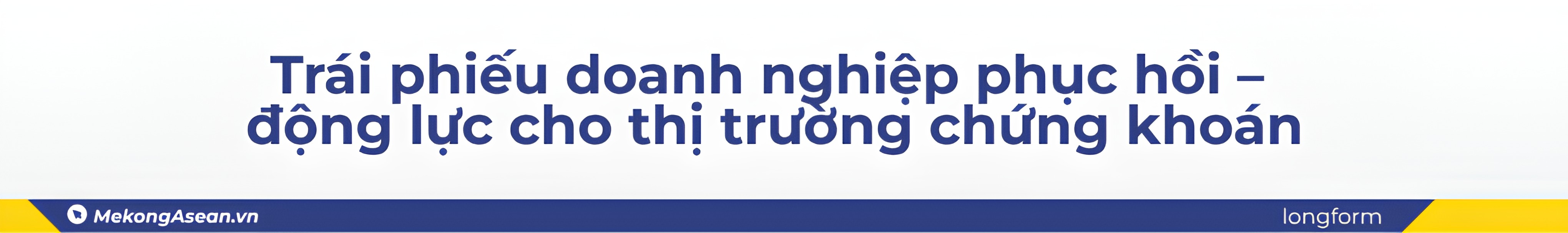 (Báo tết) CEO NSI: Kết quả 2024 là bàn đạp cho giai đoạn 2025 - 2026 phát triển bền vững