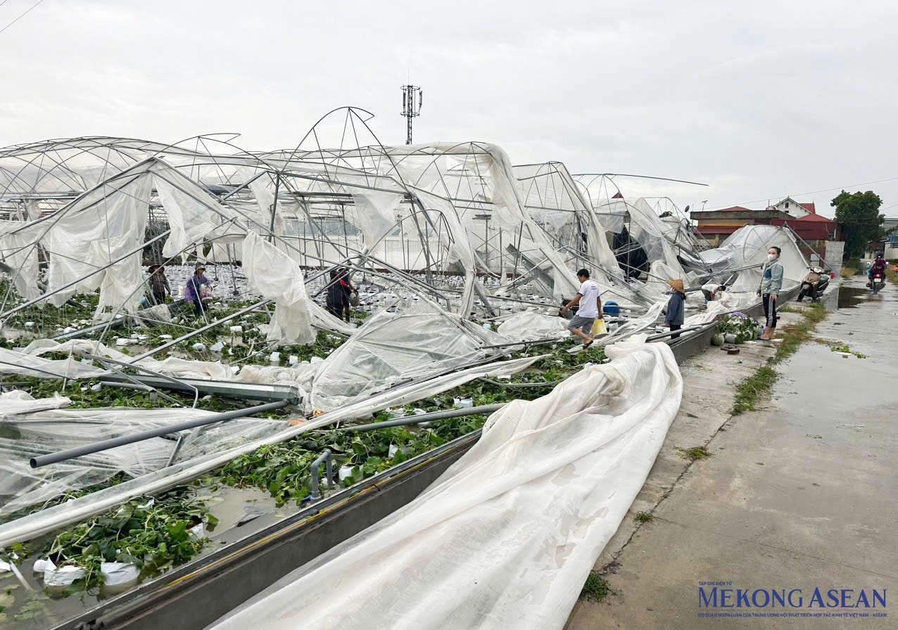 Ngành ngân hàng năm 2024: Góp động lực vào sự phát triển kinh tế đất nước Ngành ngân hàng năm 2024: Góp động lực vào sự phát triển kinh tế đất nước