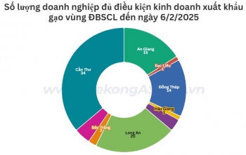 Những địa phương vùng ĐBSCL có nhiều doanh nghiệp xuất khẩu gạo nhất