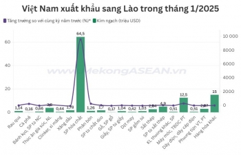 Sản phẩm hóa chất của Việt Nam xuất khẩu sang Lào tăng đột biến