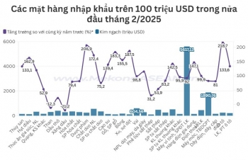 Kim ngạch nhập khẩu nửa đầu tháng 2/2025 tăng tới 80%