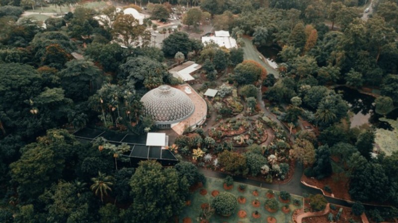 Nét cuốn hút của Brisbane nhìn từ 5 công viên ngoài trời nổi tiếng