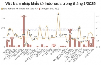 Việt Nam nhập siêu hơn 250 triệu USD từ Indonesia trong tháng 1/2025