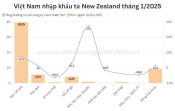 Việt Nam tăng mạnh nhập khẩu từ New Zealand trong tháng 1/2025