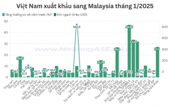 Xuất khẩu cao su sang Malaysia tăng vọt trong tháng 1/2025