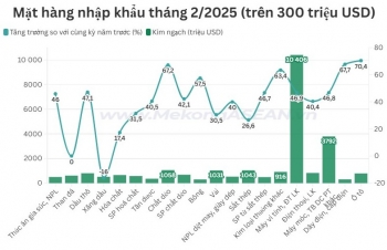 Kim ngạch xuất nhập khẩu tháng 2 hơn 63,7 tỷ USD, tăng 32% yoy