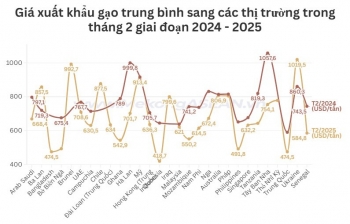 Gạo Việt xuất khẩu sang thị trường nào được giá nhất?