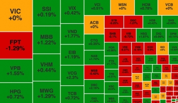 VN-Index 'thoát hiểm', nhóm Bamboo Capital quay đầu tăng giá