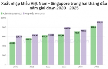 Số liệu xuất nhập khẩu Việt Nam-Singapore hai tháng đầu năm 2025