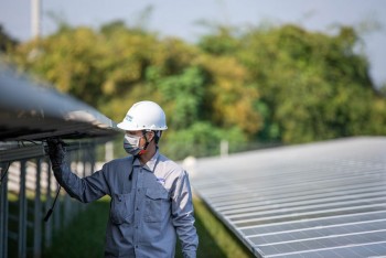 REE đặt mục tiêu tăng trưởng hai chữ số sau năm 