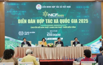 Đến năm 2045 Việt Nam có ít nhất 3 HTX lọt top toàn cầu