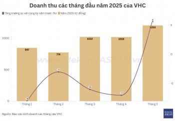 Vĩnh Hoàn có tháng tăng trưởng dương doanh thu đầu tiên năm 2025