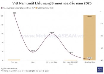 Xuất nhập khẩu Việt Nam – Brunei nửa đầu năm giảm gần 19%